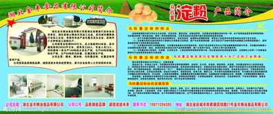 金豐食品圖片 解析食品經營中的視覺營銷與合規管理